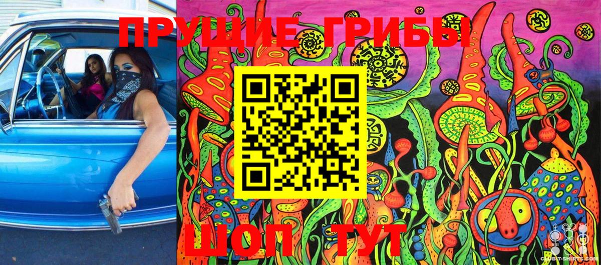 Псилоцибиновые грибы MAGIC MUSHROOMS  Вход с VPN  как найти закладки  Псилоцибиновые грибы Psilocybe  Ижевск 