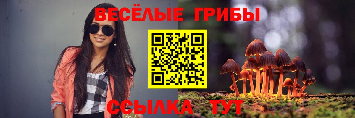 Псилоцибиновые грибы прущие грибы Ижевск
